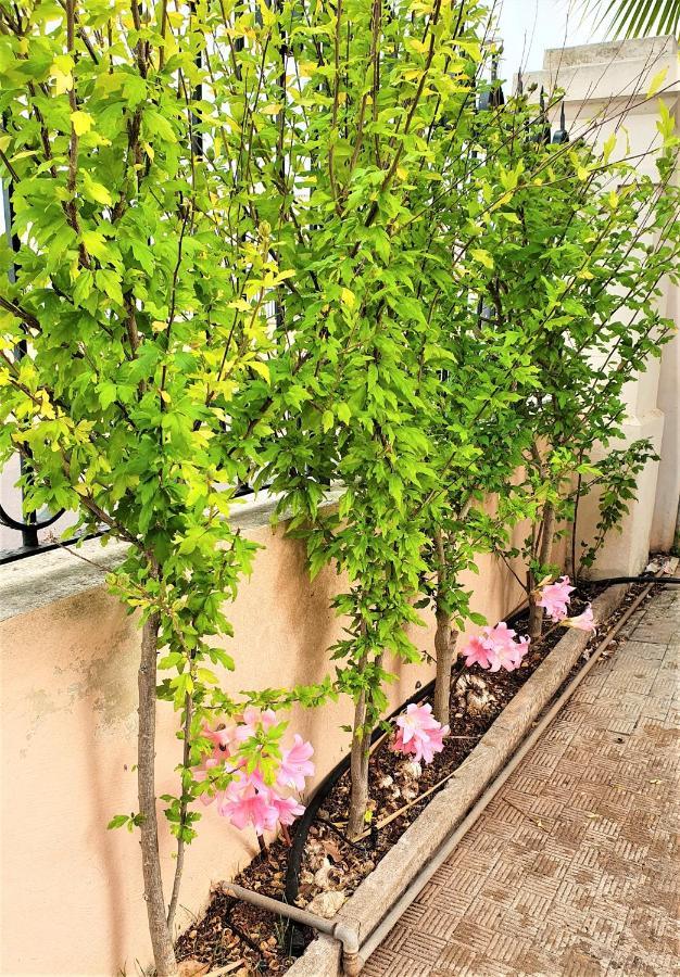 Villa Nel Salento - Ampie Camere E Giardino, Fino A 9 Persone Barbarano del Capo Bagian luar foto